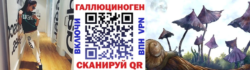 магазин  наркотиков  Советск  Галлюциногенные грибы ЛСД 